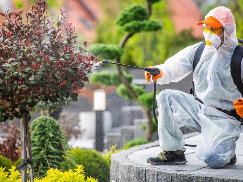 Eşrefpaşa Haşere İlaçlama